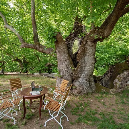 Yusalis Garden 롯지 Çıralı