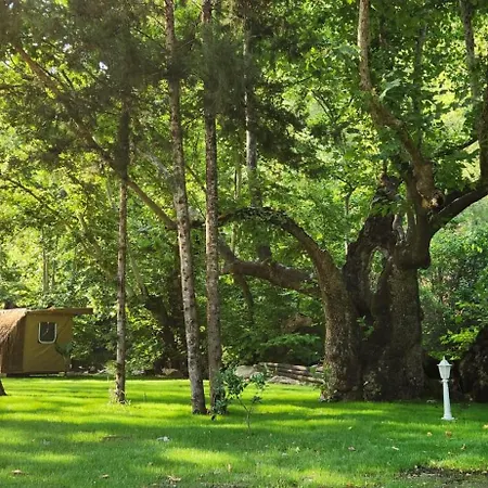 Lodge Yusalis Garden Kemer