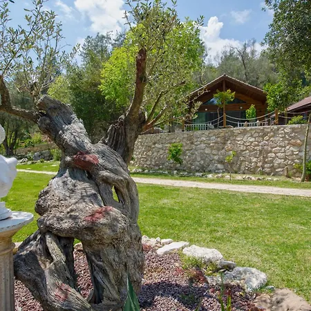 Yusalis Garden Lodge *