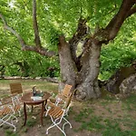 Yusalis Garden Lodge Cirali